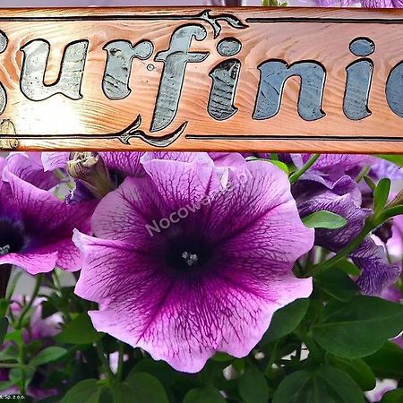 Pokoje Goscinne Surfinia Гданск Екстериор снимка