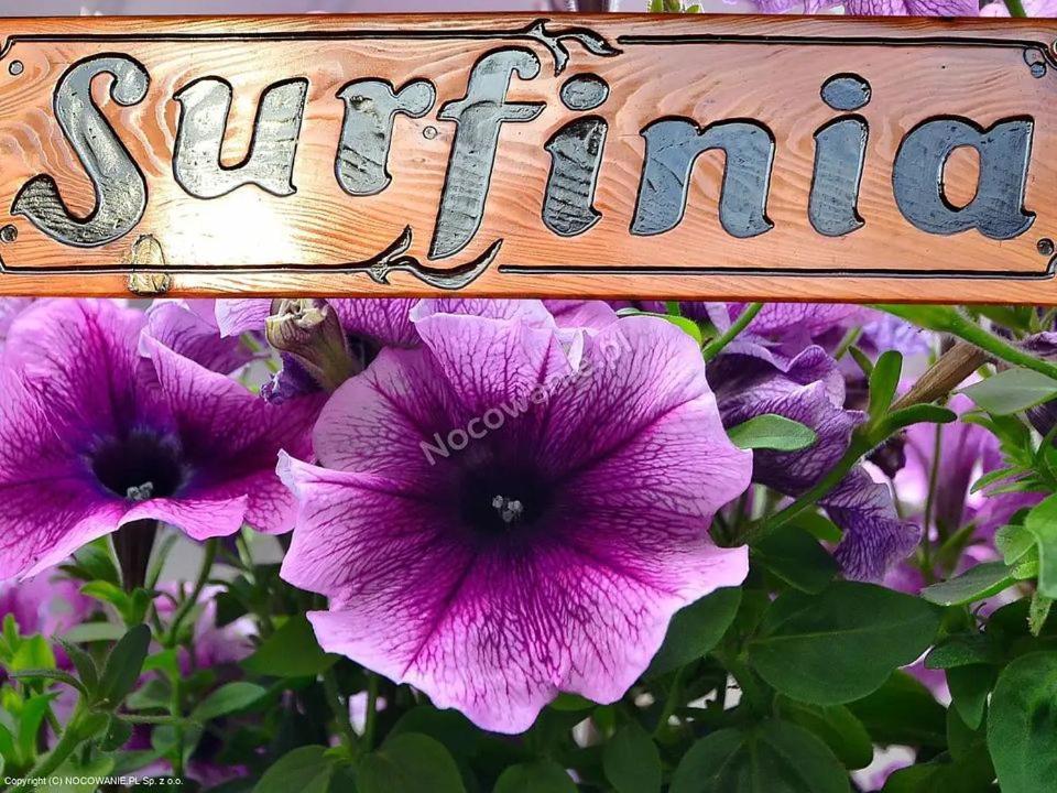 Pokoje Goscinne Surfinia Гданск Екстериор снимка
